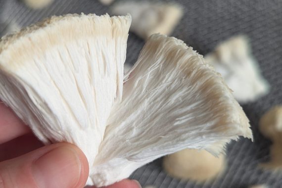 PXL_20250714_005337038.PORTRAIT.ORIGINAL